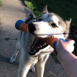 Meet your Posher, Shelby